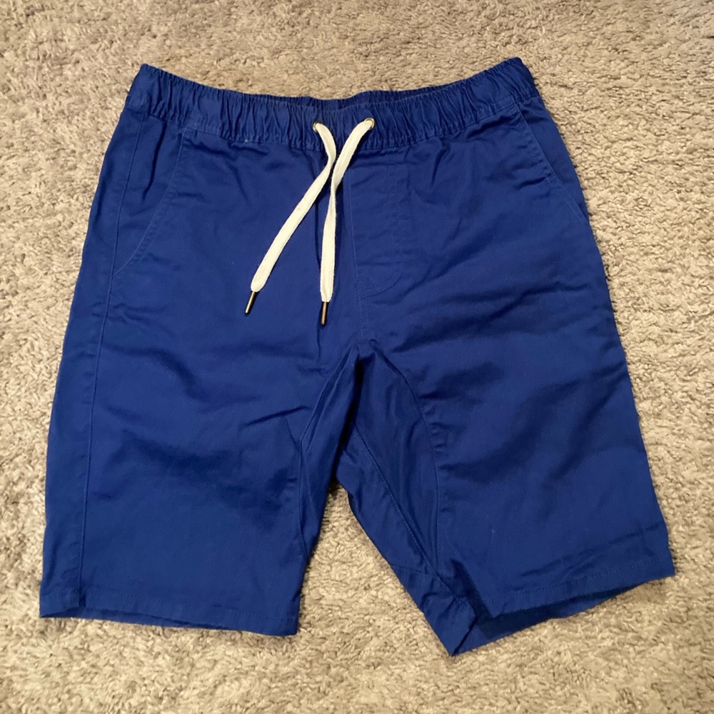 Forever 21 Blue board shorts